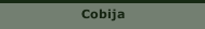 Cobija
